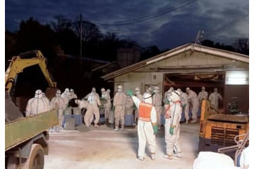 鳥インフル疑い、殺処分を開始 画像