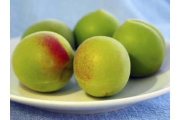 農水省、地理的表示に3品目追加 画像