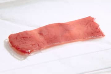 動物の筋細胞から初の「培養肉」 画像