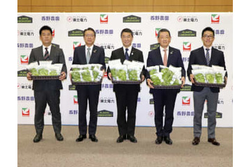 CO2排出ゼロのレタス出荷 画像