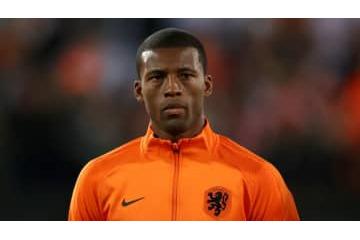 なぜワイナルドゥムはオランダ代表落選なのか　ファンハール監督が説明 画像