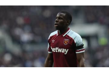 ネコ虐待のズマ、出廷へ　ファンを蹴ったヴィエラはお咎めなし 画像