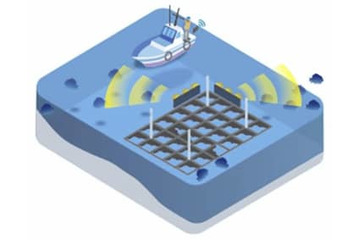音波で魚群遠ざける技術を開発 画像