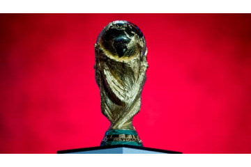 ブラジルとドイツのメンタルになりたい…イングランド代表監督が憧れる 画像