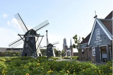 テンボス売却額5百億～7百億円 画像