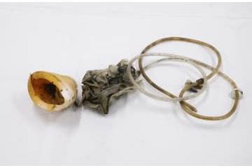 日航機墜落現場で酸素マスク発見 画像