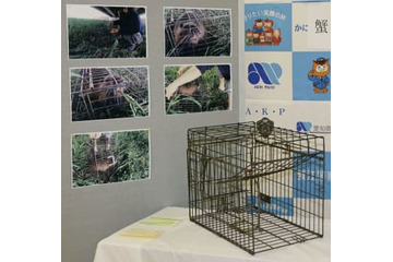 期間外にヌートリア捕獲疑い逮捕 画像