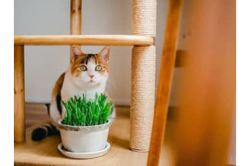 51歳貯金1200万円。ローンの審査に落ちました。それでも住宅を購入したい 画像