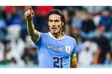 W杯敗退に怒り爆発！ウルグアイ代表カバーニの「VARブン殴り」シーン 画像