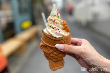 LE SSERAFIM・SAKURAもイチオシの韓国グルメ「プンオパン」って？韓国の秋冬の風物詩は“進化版”にも注目 画像