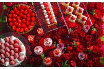 ホテルニューオータニ大阪のいちごビュッフェ、2週間限定で先行開催 博多あまおうを贅沢にケーキやパイで 画像