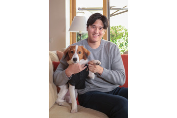 大谷翔平選手、愛犬“大谷デコピン”の年賀状公開 郵便番号＆蛇イラストにも注目集まる 画像