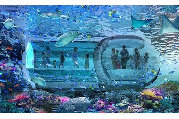 東京ジャイアンツタウン内に新水族館、2027年誕生へ サンゴ礁の海を歩く水中回廊や大水槽 画像