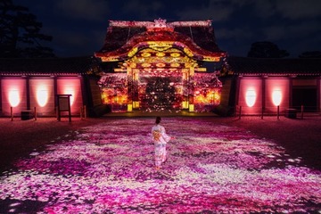 約300本の夜桜×アートが競演、京都・二条城で「NAKED meets 二条城 2025 桜」開催 画像