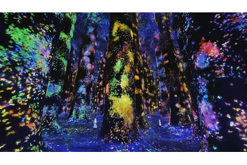 チームラボ、アブダビに新アート拠点「チームラボ フェノメナ アブダビ」4月18日開業 画像