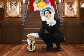 亀梨和也、独立後初レギュラーMC番組決定 犬の姿で登場【世界を救う！ワンにゃフル物語 柴と三毛と亀梨くん】 画像