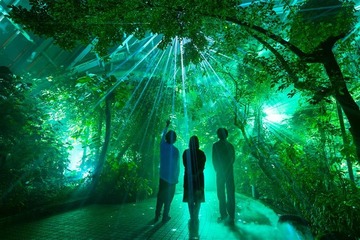 京都府立植物園の幻想的なアートイベント 「LIGHT CYCLES KYOTO」バージョンアップして復活!5月24日開演 画像