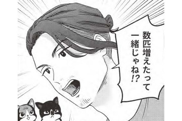 殺処分の猫を引き取りに？…猫愛が溢れすぎの男の運命に何が？【借金1000万作曲家の人生を変えてくれた猫の話 #６】 画像