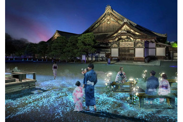夜の京都で“納涼”アートイベント「NAKED meets 二条城 2025 夕涼み」幻想的な光演出や屋台も出店 画像