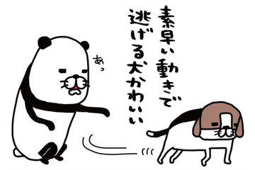 愛犬の鼻をよく観察してみると…マッシュルームの断面図みたい！【パンダと犬 ＃４】 画像