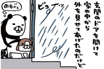 雨風強い日に愛犬。濡らさないように、そっと包み込むのはナゼ？【パンダと犬 ＃26】 画像
