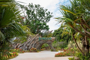 沖縄の新テーマパーク「ジャングリア」恐竜サファリから空中滑空までやんばるの生命力を体感する冒険へ 画像