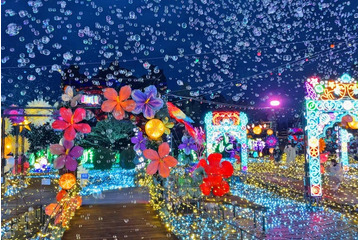 伊豆ぐらんぱる公園で体験型イルミネーション、11月7日から “龍の大冒険”コンセプトに新たな演出 画像