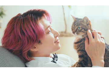 Snow Man佐久間大介、新CMで猫に囲まれ笑顔 愛猫との秘話も「可愛いなと思います」 画像