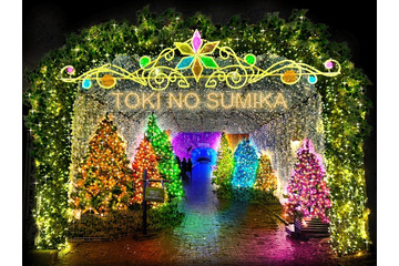 550万球の光が織りなす“魔法の森” 静岡・時之栖でイルミネーション「ひかりのすみか」 画像