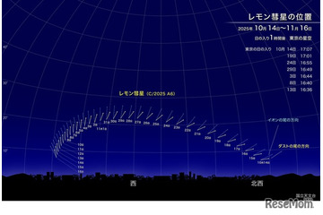 新発見のレモン彗星、10月下旬が観察好期…次回接近は1100年後 画像