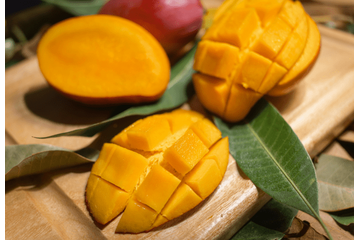 インドで…窓を開けたままマンゴーを食べると⇒「え、噓でしょ！」窓から”野生の動物”が来て「今でも忘れられない」 画像