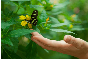 虫が大の苦手な私　洗濯物も外に干せなかったが⇒出産を機に「自分でもびっくり」 画像