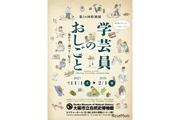 特別展「学芸員のおしごと」大阪市立自然史博物館…2/1まで 画像