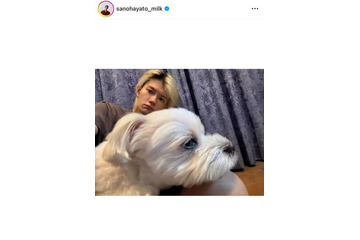 「メロすぎ」佐野勇斗、実家でまったりプラべSHOTにファン大歓喜「好きすぎて滅！！」 画像