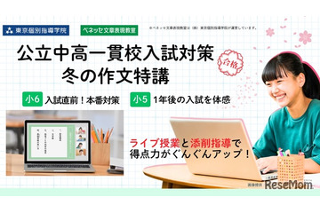 【中学受験】公立一貫校入試対策の作文特講…べネッセ文章表現教室 画像