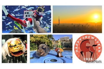 【年末年始】元旦は初日の出、獅子舞も登場…サンシャインシティのお正月 画像