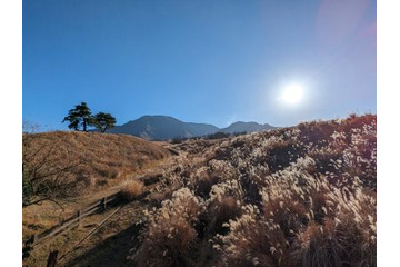 ウイルスや寒さの影響で体調を崩しがちな「冬至」の時季、「意外な３つの海鮮」を食べるべし？１つは赤くて２つは白くて 画像