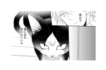 偏屈で人嫌いなミステリー作家の青年。新作の題材は…猫？ どこで出会ったの!?【同居人はひざ、時々、頭のうえ。 #１】 画像