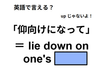 英語で「仰向けになって」は何て言う？ 画像
