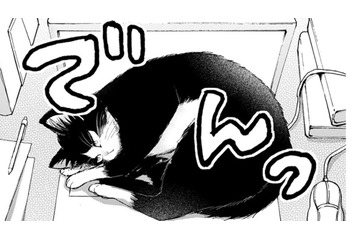 猫と同居しはじめたミステリー作家の青年。パソコンの上を陣取られてエサで釣る作戦を考えるが…【同居人はひざ、時々、頭のうえ。 #11】 画像