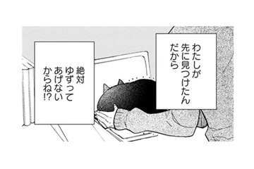 【猫視点】食べたい時にごはんが食べられる。それが当たり前ではなかった日々を思い出す…【同居人はひざ、時々、頭のうえ。 #19】 画像