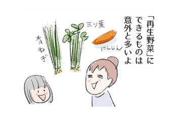 自家製スパイスで料理に彩りを！「再生野菜」は意外と簡単。成功させるコツは？【激せまキッチンで時短！簡単！ムダなしごはん #26】 画像