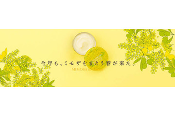 スチームクリーム、春を告げる季節限定ミモザシリーズが今年も登場 画像