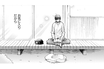 【猫視点】この場所は、いいおひるね場所もあるしごはんもくれるし、わりとお気に入りなんだからね【同居人はひざ、時々、頭のうえ。 #33】 画像