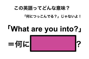 この英語ってどんな意味？「What are you into?」 画像