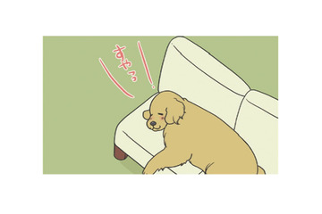 ソファを占領して眠る愛犬…大好きな洗濯物の匂いを確かめてまた夢の中へ？【おさんぽですし！　おしゃべり犬とイライラ猫の日記 #４】 画像