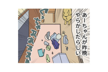 ゴミ箱がぶちまかれている朝。昨夜やらかしたらしい愛犬を叱れず、下された裁きは…【おさんぽですし！　おしゃべり犬とイライラ猫の日記 #６】 画像