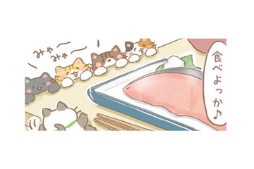 「食べよっか」自炊ご飯もこれからは猫ちゃんといっしょ。しかもメニューは好物の魚！【あなたとくらし隊！ちびっ福 #９】 画像