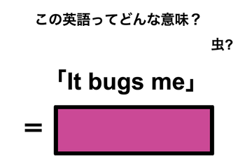 この英語ってどんな意味？「It bugs me」 画像