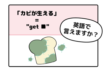 英語で「カビが生える」はなんて言う？【マンガで英会話】 画像